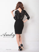 Andy/AN-OK2685/ワンピース/ミニドレス/タイトワンピース/アクセサリー付き/袖あり/レース/ワンカラー