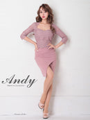 Andy/AN-OK2685/ワンピース/ミニドレス/タイトワンピース/アクセサリー付き/袖あり/レース/ワンカラー