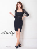Andy/AN-OK2685/ワンピース/ミニドレス/タイトワンピース/アクセサリー付き/袖あり/レース/ワンカラー