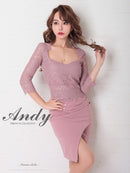 Andy/AN-OK2685/ワンピース/ミニドレス/タイトワンピース/アクセサリー付き/袖あり/レース/ワンカラー