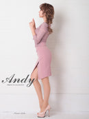 Andy/AN-OK2685/ワンピース/ミニドレス/タイトワンピース/アクセサリー付き/袖あり/レース/ワンカラー