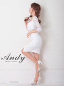 Andy/AN-OK2685/ワンピース/ミニドレス/タイトワンピース/アクセサリー付き/袖あり/レース/ワンカラー