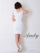 Andy/AN-OK2717/ワンピース/ミニドレス/ワンカラー/タイトワンピース/袖あり/ひかり着用