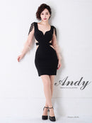 Andy/AN-OK2717/ワンピース/ミニドレス/ワンカラー/タイトワンピース/袖あり/ひかり着用