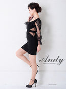 Andy/AN-OK2717/ワンピース/ミニドレス/ワンカラー/タイトワンピース/袖あり/ひかり着用