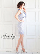 Andy/AN-OK2725/ワンピース/ミニドレス/キャバドレス/総レース/袖あり/リボン/フリル/タイト