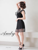 Andy/AN-OK2729/ワンピース/ミニドレス/キャバドレス/スパンコール/チェック柄チュール/パイピング/フレア/フリルスリーブ/Aライン