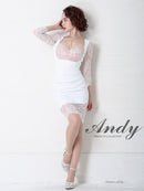 Andy/AN-OK2753/ワンピース/ミニドレス/レース/バックリボン/袖あり