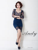 Andy/AN-OK2753/ワンピース/ミニドレス/レース/バックリボン/袖あり