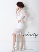 Andy/AN-OK2753/ワンピース/ミニドレス/レース/バックリボン/袖あり