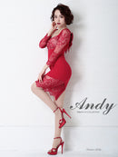 Andy/AN-OK2753/ワンピース/ミニドレス/レース/バックリボン/袖あり