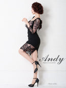 Andy/AN-OK2753/ワンピース/ミニドレス/レース/バックリボン/袖あり