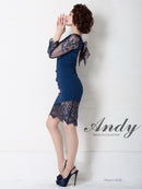 Andy/AN-OK2753/ワンピース/ミニドレス/レース/バックリボン/袖あり