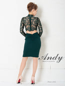 Andy/AN-OK2770/ワンピース/ミニドレス/キャバドレス/タイト/カットアウト/ウエストカット/長袖/袖あり/ハイネック