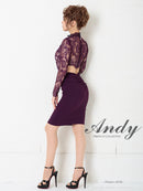 Andy/AN-OK2770/ワンピース/ミニドレス/キャバドレス/タイト/カットアウト/ウエストカット/長袖/袖あり/ハイネック