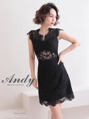 Andy/AN-OK2781/ワンピース/ミニドレス/タイトワンピース/総レース/ワンカラー