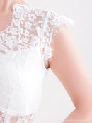 Andy/AN-OK2781/ワンピース/ミニドレス/タイトワンピース/総レース/ワンカラー