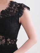 Andy/AN-OK2781/ワンピース/ミニドレス/タイトワンピース/総レース/ワンカラー