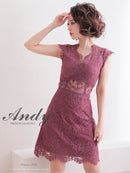 Andy/AN-OK2781/ワンピース/ミニドレス/タイトワンピース/総レース/ワンカラー