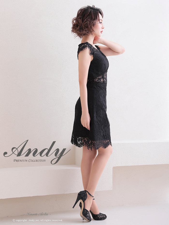 Andy/AN-OK2781/ワンピース/ミニドレス/タイトワンピース/総レース