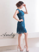 Andy/AN-OK2781/ワンピース/ミニドレス/タイトワンピース/総レース/ワンカラー