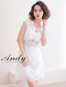 Andy/AN-OK2781/ワンピース/ミニドレス/タイトワンピース/総レース/ワンカラー