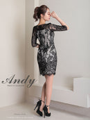 Andy/AN-ON2764/ワンピース/ミニドレス/ワンカラー/タイトワンピース/総レース/袖あり
