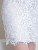 Andy/AN-ON2764/ワンピース/ミニドレス/ワンカラー/タイトワンピース/総レース/袖あり