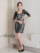 Andy/AN-ON2764/ワンピース/ミニドレス/ワンカラー/タイトワンピース/総レース/袖あり