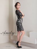 Andy/AN-ON2764/ワンピース/ミニドレス/ワンカラー/タイトワンピース/総レース/袖あり