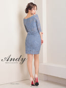 Andy/AN-ON2766/セットアップ/ミニドレス/ワンカラー/タイトワンピース/総レース/袖あり/両袖