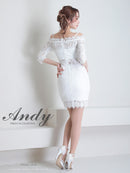 Andy/AN-ON2766/セットアップ/ミニドレス/ワンカラー/タイトワンピース/総レース/袖あり/両袖