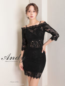 Andy/AN-ON2766/セットアップ/ミニドレス/ワンカラー/タイトワンピース/総レース/袖あり/両袖