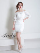 Andy/AN-ON2766/セットアップ/ミニドレス/ワンカラー/タイトワンピース/総レース/袖あり/両袖