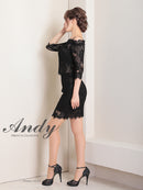 Andy/AN-ON2766/セットアップ/ミニドレス/ワンカラー/タイトワンピース/総レース/袖あり/両袖