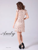 Andy/AN-ON2807/ワンピース/ミニドレス/タイトワンピース/総レース/サークル柄/ハイネック