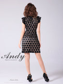 Andy/AN-ON2807/ワンピース/ミニドレス/タイトワンピース/総レース/サークル柄/ハイネック