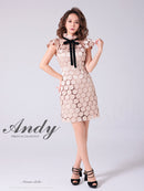 Andy/AN-ON2807/ワンピース/ミニドレス/タイトワンピース/総レース/サークル柄/ハイネック