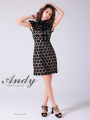 Andy/AN-ON2807/ワンピース/ミニドレス/タイトワンピース/総レース/サークル柄/ハイネック