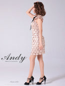 Andy/AN-ON2807/ワンピース/ミニドレス/タイトワンピース/総レース/サークル柄/ハイネック