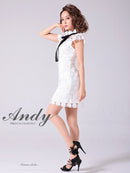 Andy/AN-ON2807/ワンピース/ミニドレス/タイトワンピース/総レース/サークル柄/ハイネック