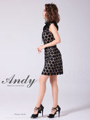 Andy/AN-ON2807/ワンピース/ミニドレス/タイトワンピース/総レース/サークル柄/ハイネック