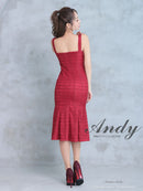 Andy/AN-ON2814/ワンピース/ドレス/チェック柄/レース/ミディアム丈/ゴールドボタン