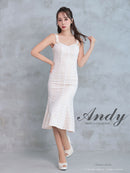 Andy/AN-ON2814/ワンピース/ドレス/チェック柄/レース/ミディアム丈/ゴールドボタン