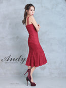 Andy/AN-ON2814/ワンピース/ドレス/チェック柄/レース/ミディアム丈/ゴールドボタン