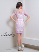 Andy/AN-ON2815/ワンピース/キャバドレス/ハイネック/袖あり/半袖/パールボタン