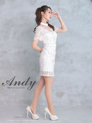 Andy/AN-ON2815/ワンピース/キャバドレス/ハイネック/袖あり/半袖/パールボタン