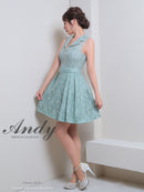 Andy/AN-ON2820/ワンピース/ミニドレス/ワンカラー/総レース/ベルト風ワンピース/キャバドレス
