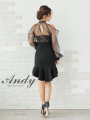 Andy/AN-ON2826/ワンピース/ミニドレス/キャバドレス/シアー/レース/ マーメイド/フリル/パールボタン/袖あり/長袖