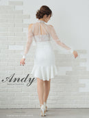 Andy/AN-ON2826/ワンピース/ミニドレス/キャバドレス/シアー/レース/ マーメイド/フリル/パールボタン/袖あり/長袖